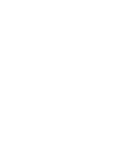 WIRED silver seal